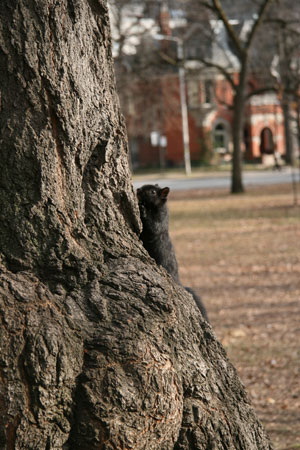 Original, untouched 

photo